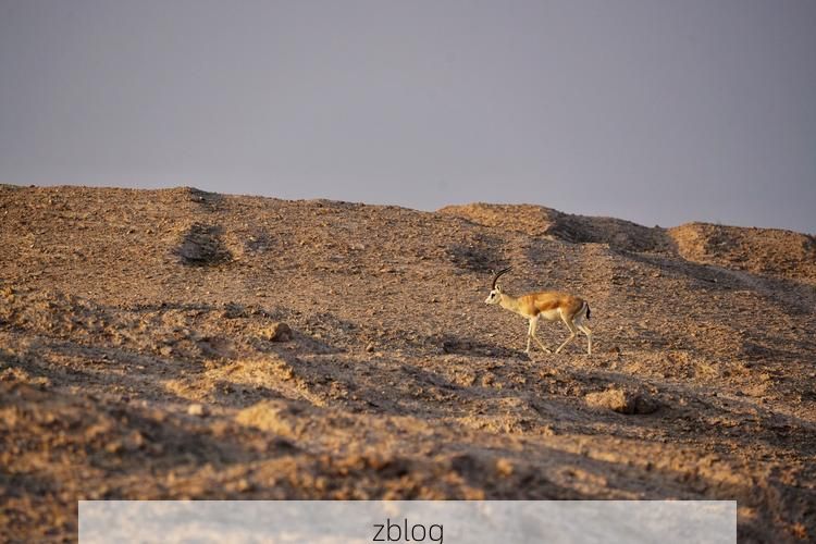 五家渠市：戈壁绿洲屏障下的零感染坚守_11777