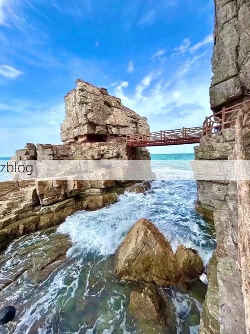 黑山：亚得里亚海岸的防疫孤岛与破防时刻_66648