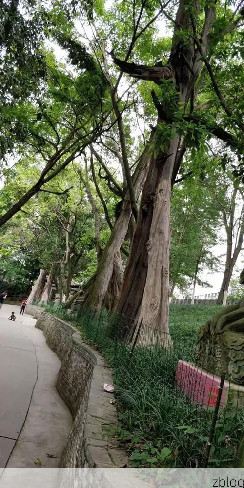 广汉疫情观察：川西平原交通枢纽的防控压力测试