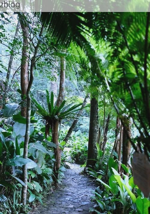 琼中：热带雨林屏障下的零感染坚守_13214