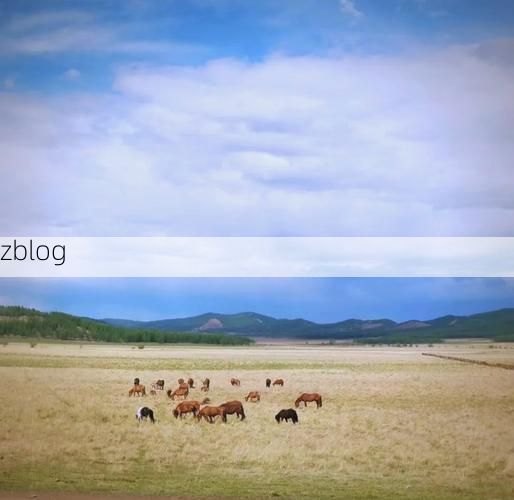 达尔罕茂明安联合旗：草原屏障下的零感染坚守