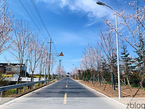 长岭:松嫩平原腹地的疫情防御样本