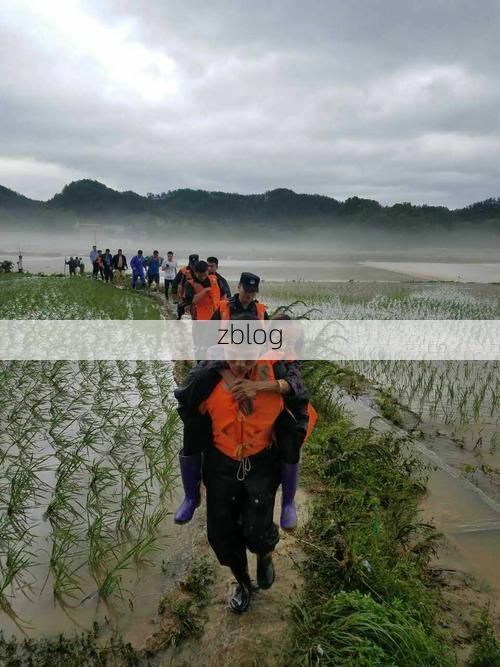 修水：赣北山城如何构筑疫情防线？_17904