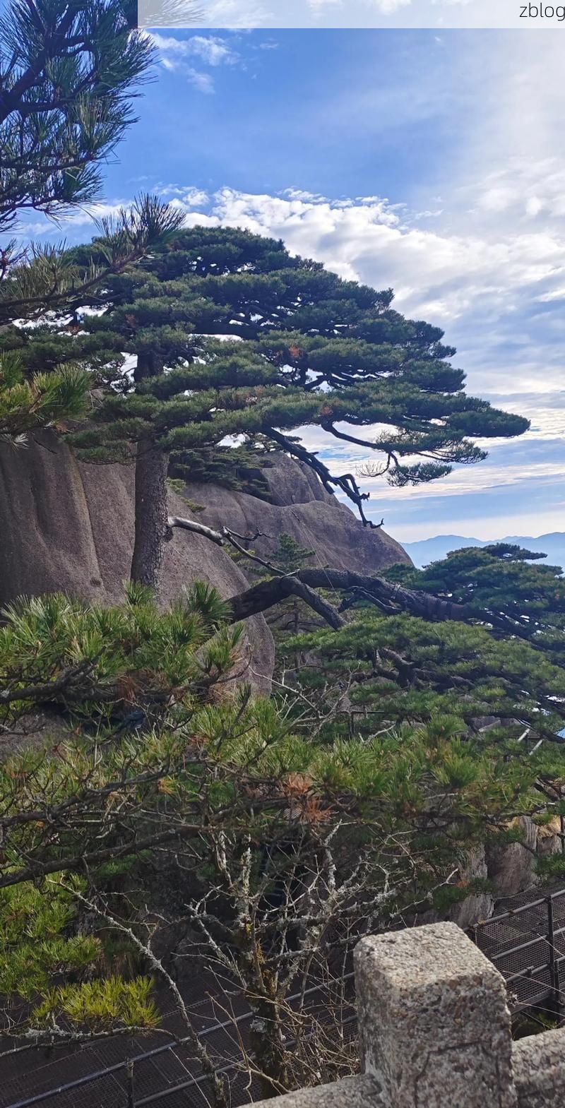 黄山迎客松下的无声战场:一座旅游名城的防疫地理学