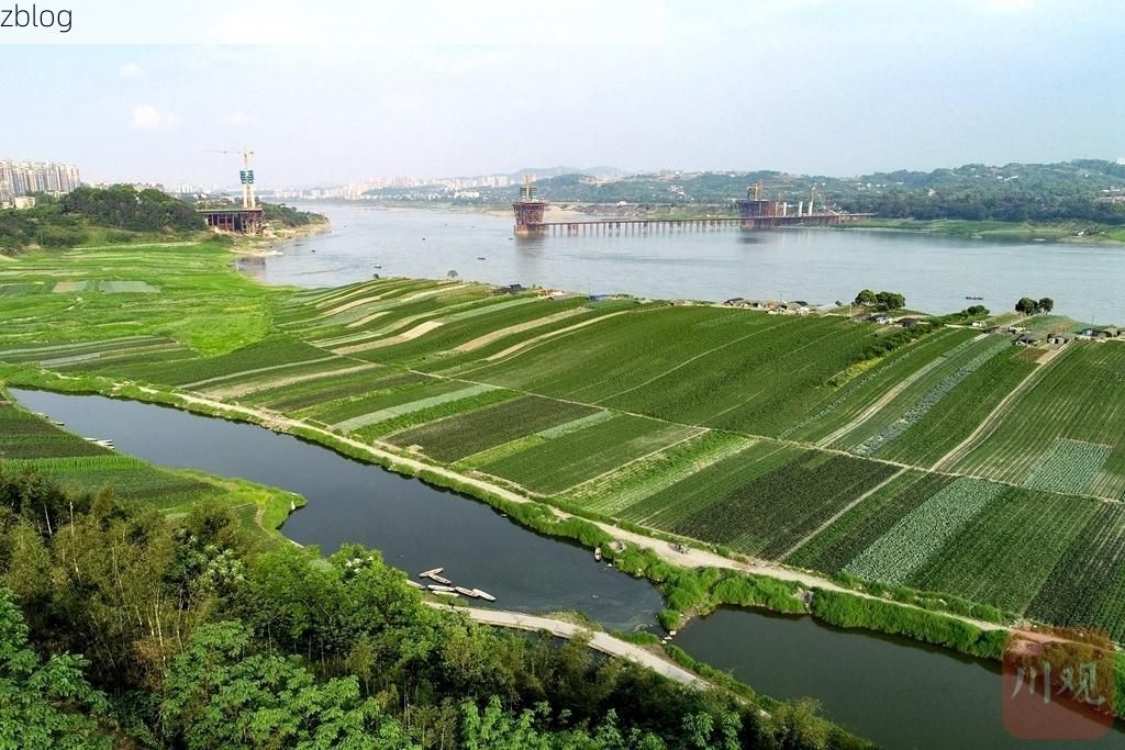 泸县:长江畔小城的疫情防线与破防时刻