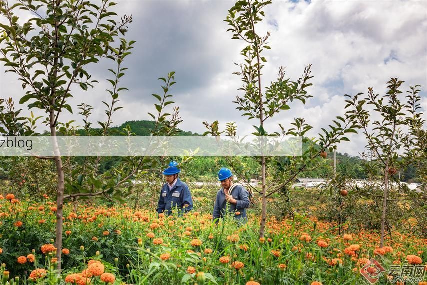 【马龙：滇东小城的疫情承压与地理屏障】