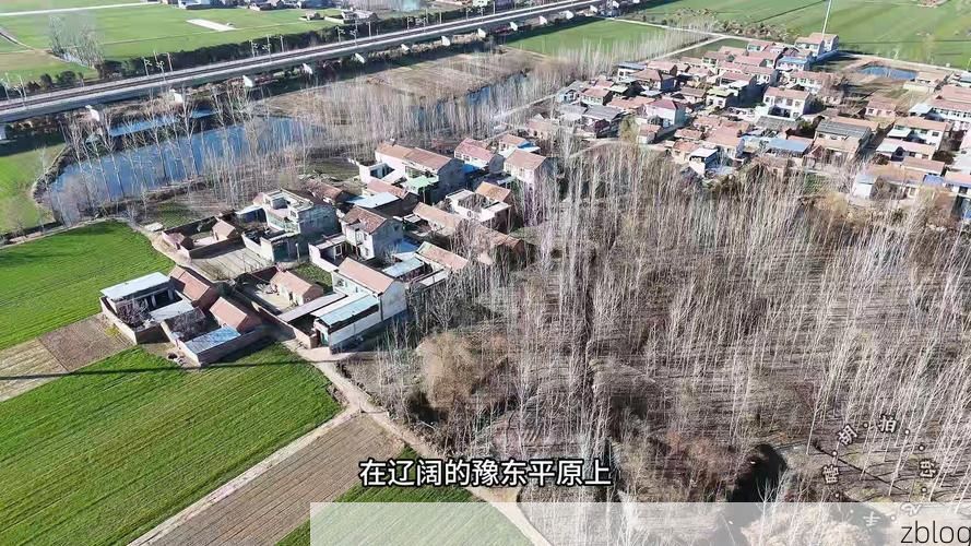 虞城：豫东平原交通枢纽的防疫破防与坚守