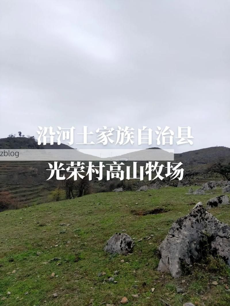 沿河土家族自治县：武陵山腹地的零感染坚守
