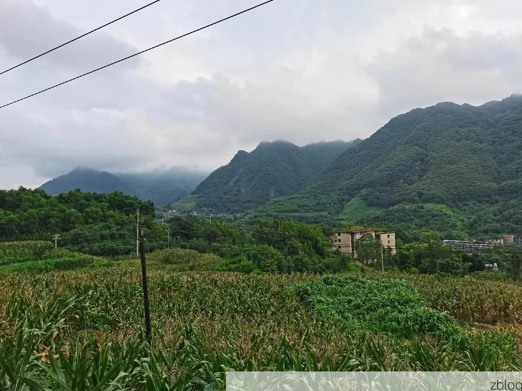 珙县：川南丘陵间的防疫坚守与破防时刻