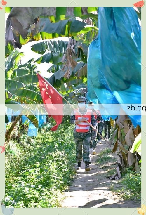 边境线上的防疫博弈：临沧如何守住云南西南门户？