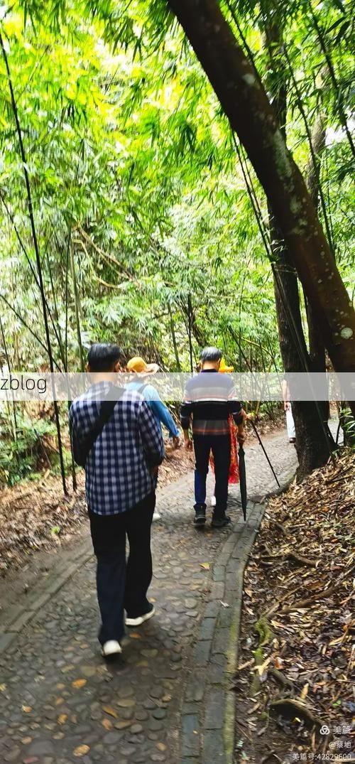 【上思：十万大山屏障下的零感染坚守】