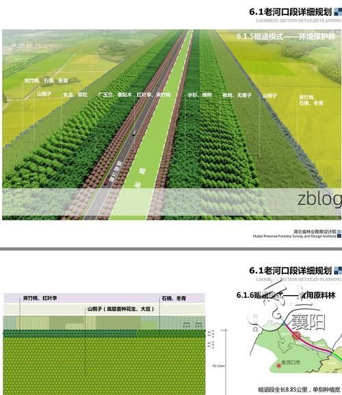 枣阳疫情观察：鄂北交通枢纽的防控压力与地理屏障
