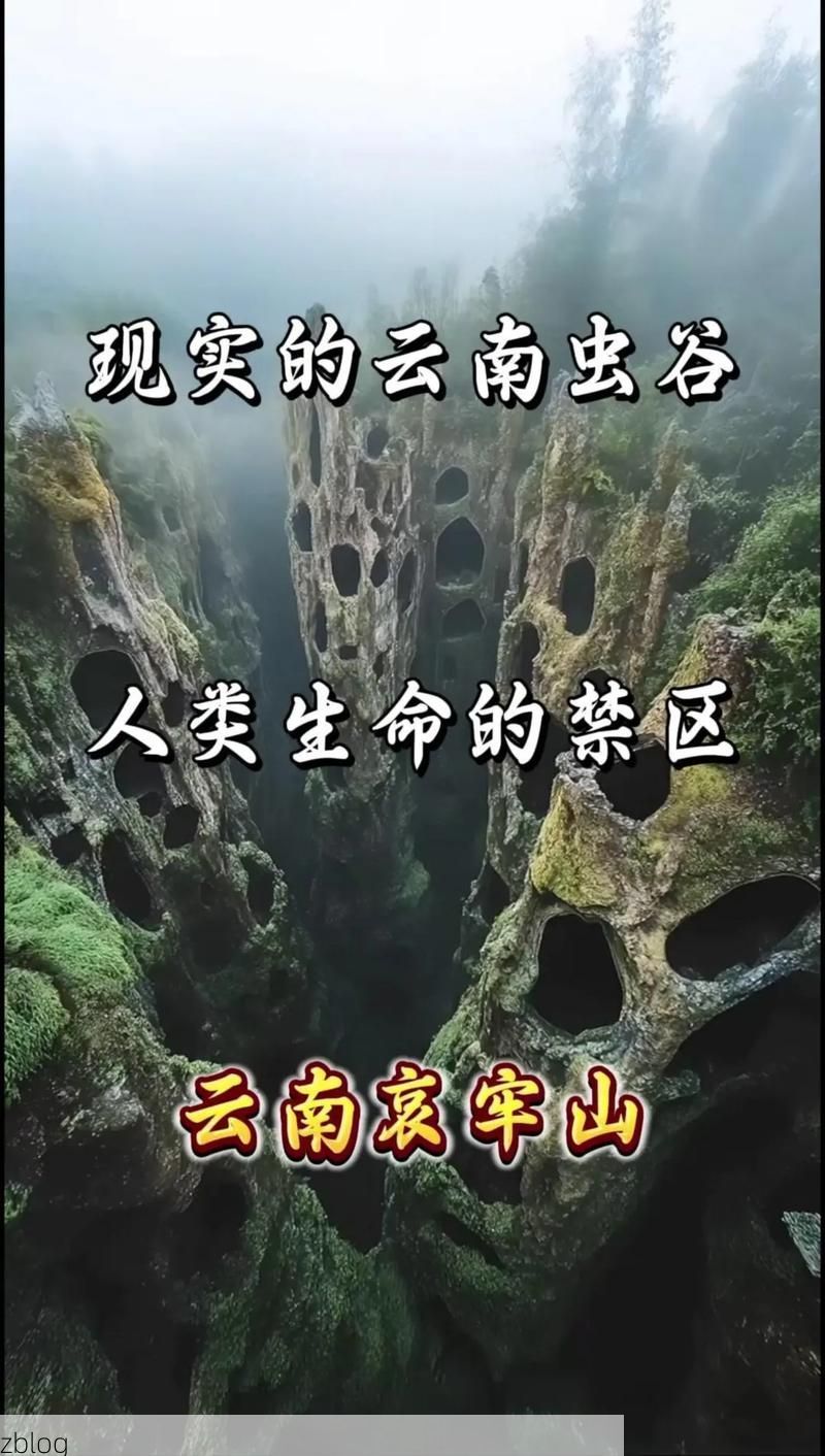 新平彝族傣族自治县：哀牢山屏障下的零感染坚守_31668