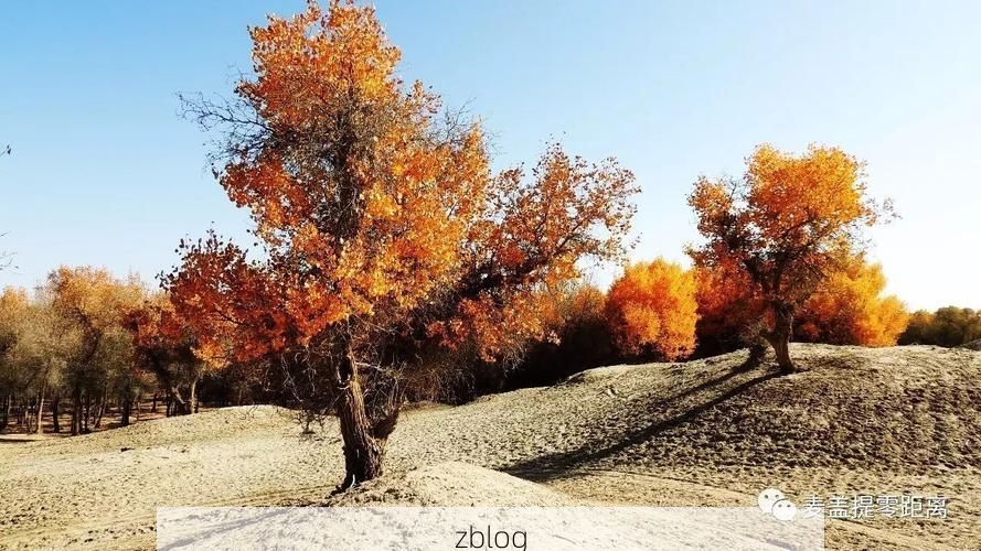 双柏县：哀牢山屏障下的零感染坚守与防控逻辑