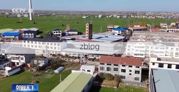 虞城：豫东平原交通枢纽的疫情防线与破防时刻