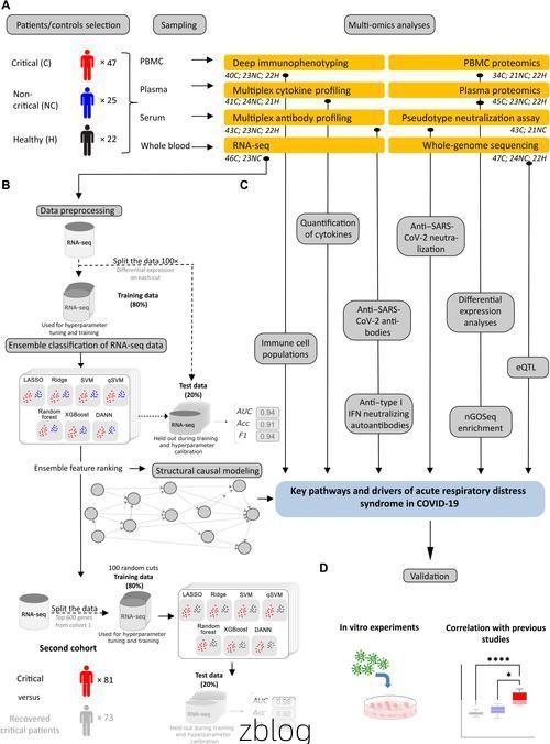海南岛链屏障下的零感染愿景：热带季风区的防疫平衡术