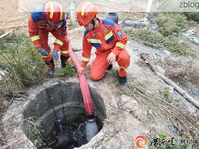 洪洞古槐下的疫情破防：交通枢纽如何成为防控缺口？