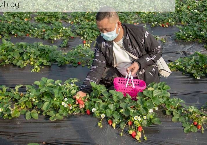 2022年9月5日越西新增确诊病例情况_48587