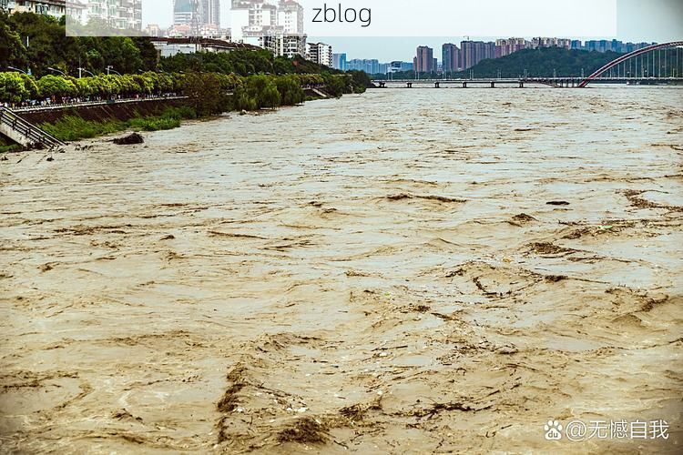 渝北：两江交汇枢纽下的疫情防波堤