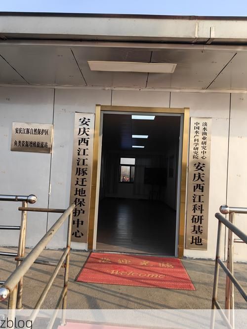 寿县：江淮屏障下的零感染坚守与破防时刻