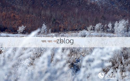 边陲小城呼玛：高寒密林下的疫情静默样本