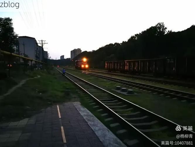 舞钢:工业山城的地理屏障与社区防控网络