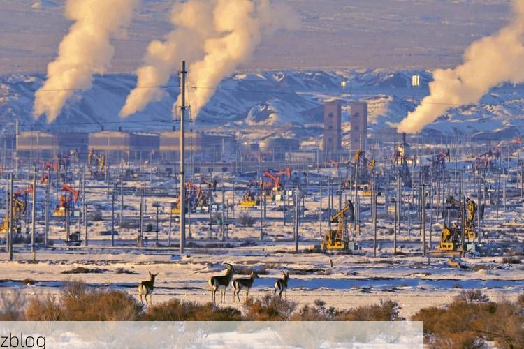 克拉玛依区：戈壁油城的地理屏障与疫情数据波动