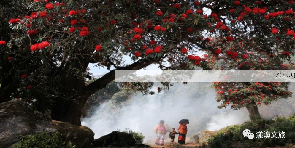 漾濞：苍山屏障下的低感染样本与防控逻辑