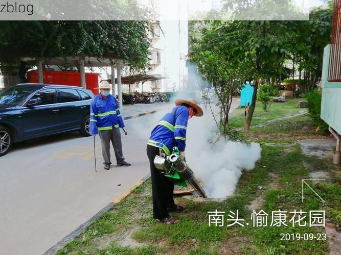 2019年12月31日南山区新增确诊情况