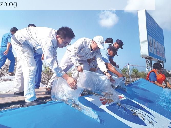 【邕江之畔的防疫坚守:邕宁区如何构筑社区防线】