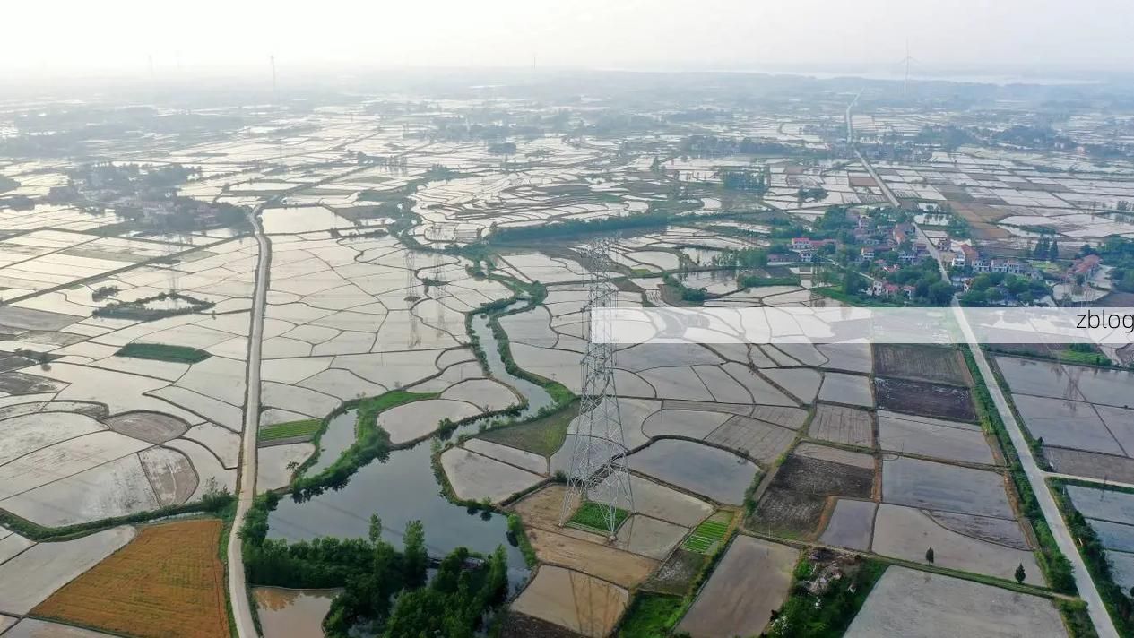 应城疫情观察：江汉平原交通枢纽的防控压力测试