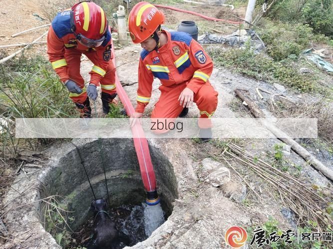 庄河港的防疫挑战：冷链物流枢纽下的病毒破防
