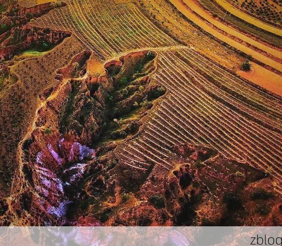 安泽县：黄土高原沟壑间的零感染坚守之谜