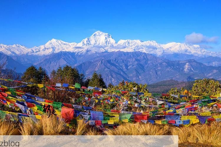 罗江:川西坝子上的防疫样本与地理屏障