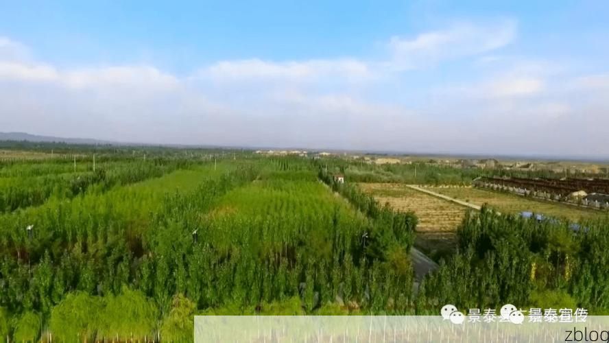 洛南:秦岭腹地的零感染坚守与地理屏障下的防疫逻辑