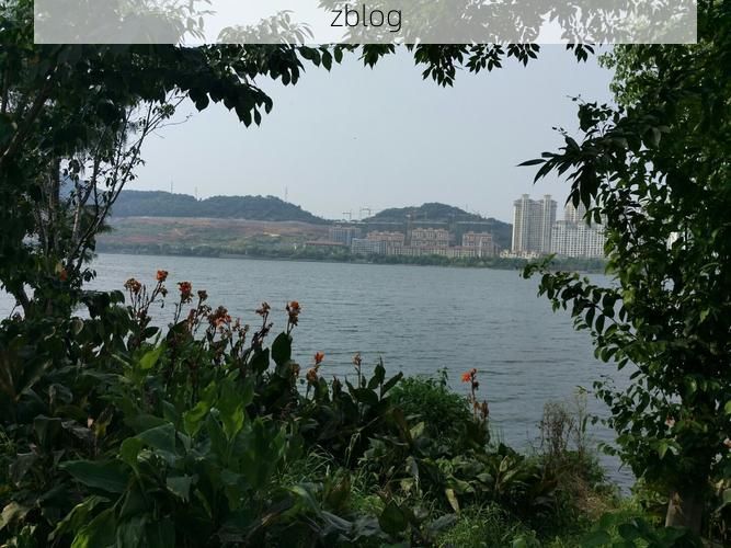 黄石西塞山区：沿江工业带的疫情阻击战_34492