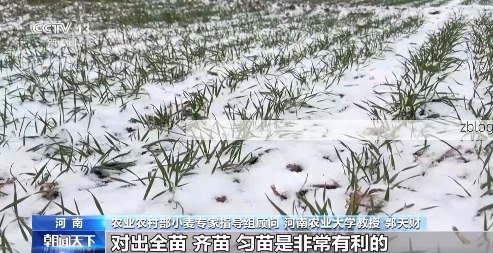 农安：松辽平原腹地的防疫样本与零感染愿景