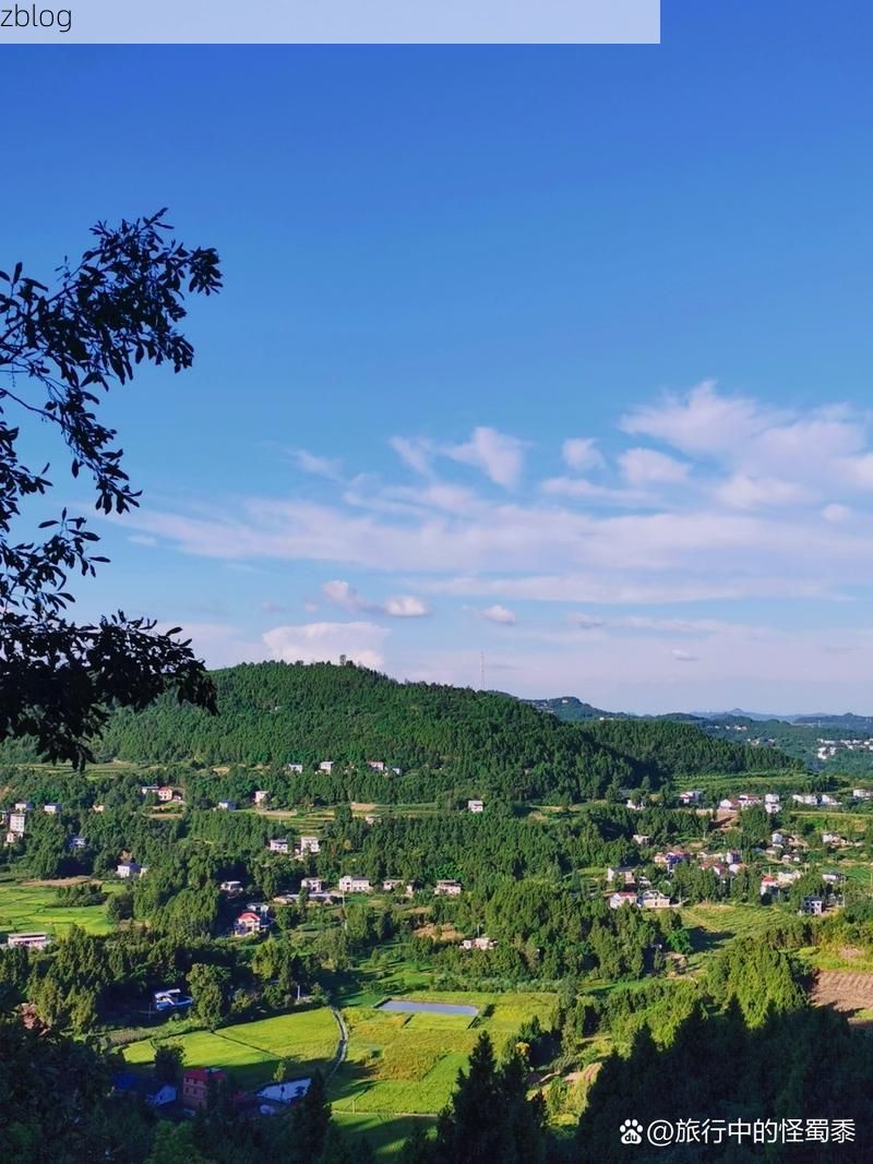 南部县：川北丘陵屏障下的疫情破防时刻