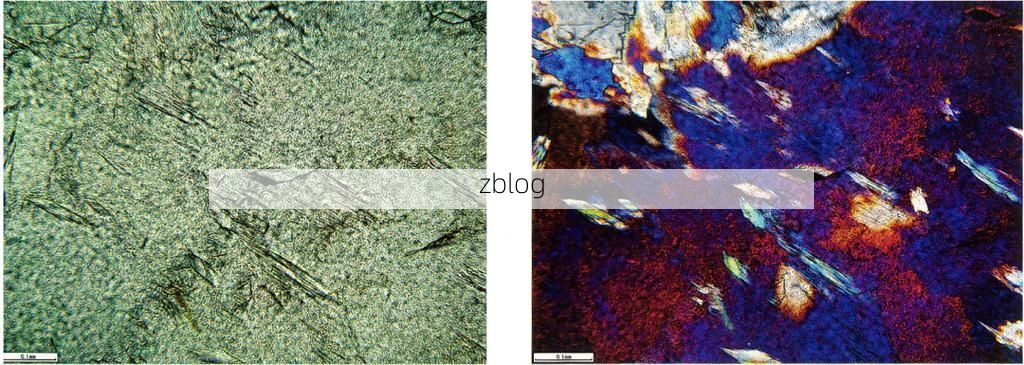宁海县：山海屏障下的低感染率成因探析