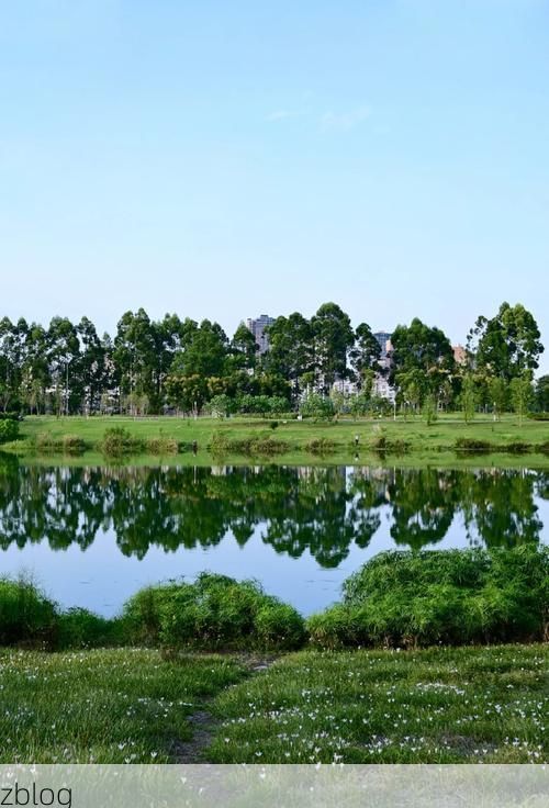 洪雅：青衣江畔的零感染孤岛，地理屏障如何筑起防疫长城？