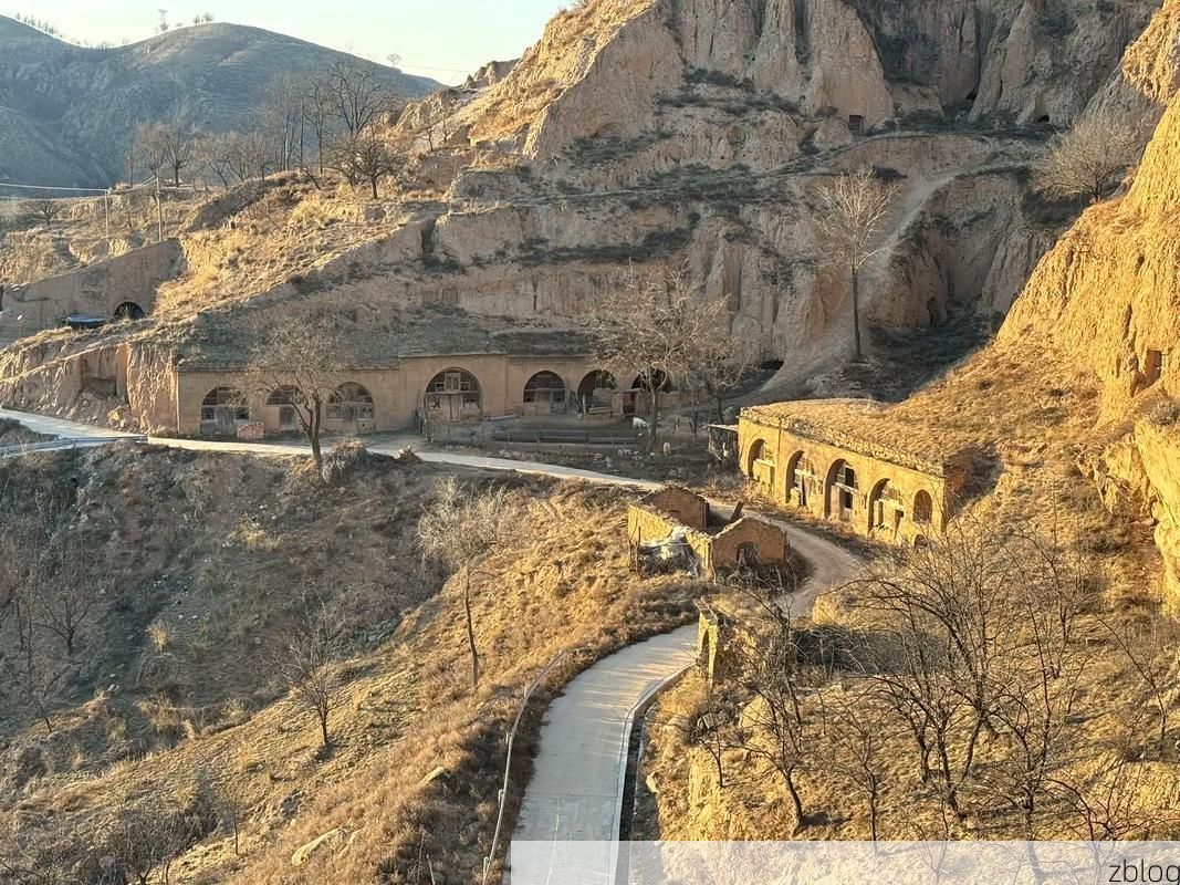 子长县：黄土高原沟壑间的零感染坚守