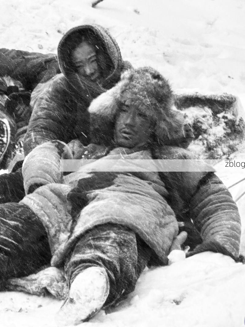 扶风县：关中平原腹地的零感染坚守_96506