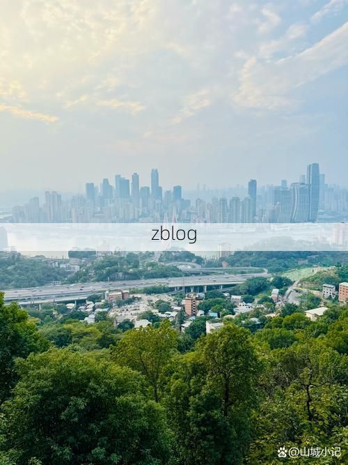 渝中半岛的疫情突围：山城立体交通下的防控挑战_81419