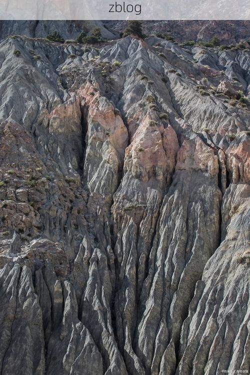 维西：横断山脉褶皱中的零感染孤岛