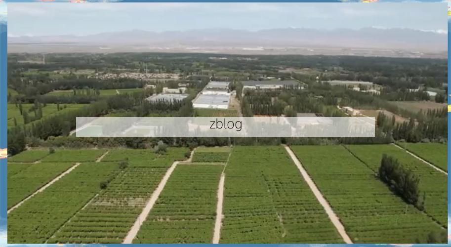 吐鲁番盆地：极端气候下的疫情防线与破防时刻