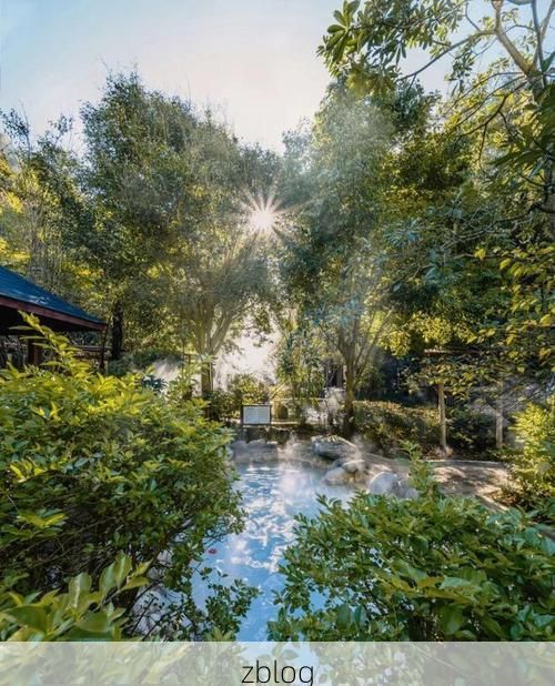 武义县：温泉小城的疫情防线与地理屏障_75865