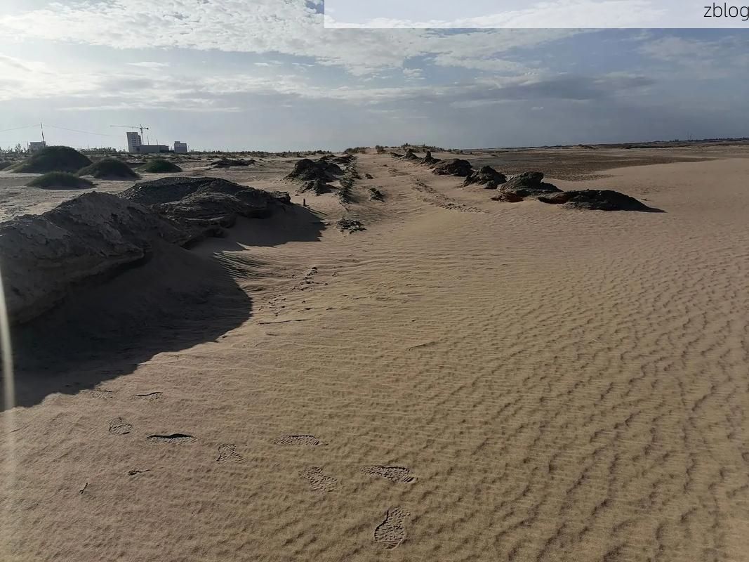 盐池：戈壁滩上的防疫孤岛与交通枢纽的脆弱平衡