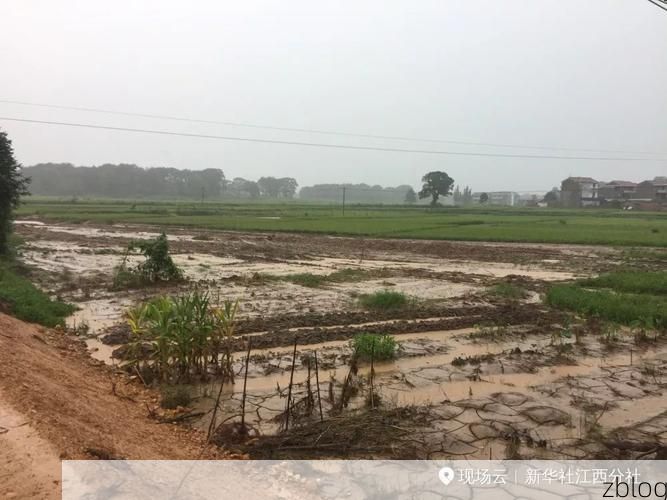 【吉安县：赣中腹地交通枢纽的防疫压力与应对】