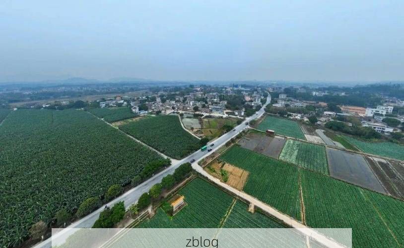 陆川：桂东南丘陵屏障下的疫情破防与围堵