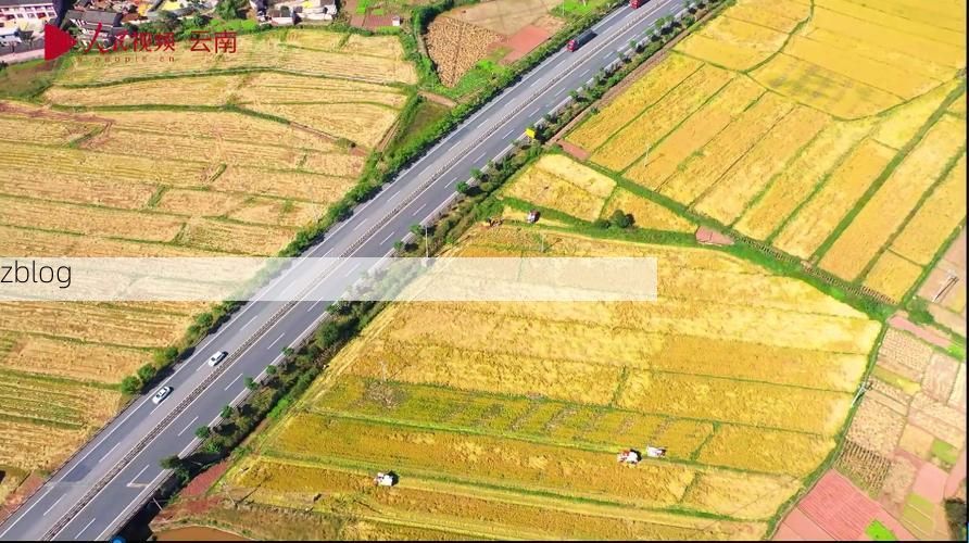 【宜良县：滇中粮仓的零感染防线如何铸就？】